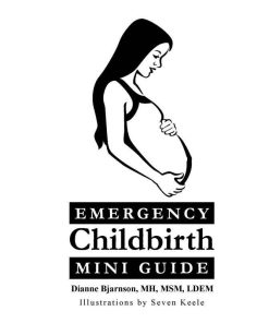 Emergency Childbirth Mini Guide | Birth & Women's Health Resource 27 Emergency Childbirth Mini Guide 1