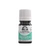 Eucalyptus Essential Oil | Refreshing Aromatherapy for Relaxation, 0.5 Fl Oz 2 Eucalyptus Essential Oil .5 fl oz