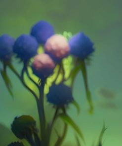 SINGLE HERB PRODUCTS